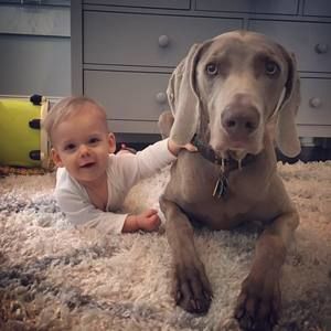 Meet your Posher, Kali